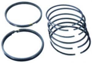 Ring Set (Spring Loaded) Co